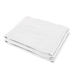 19.7′ x 9.8′ x 6.6′ Plastic Greenhouse Cover Replacement, Heavy