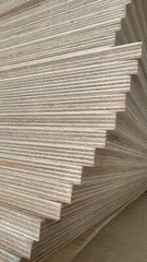 birch plywood
