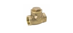 ProLine Series Check Valve, 1/2 in, IPS, 200 psi Pressure, Brass Body