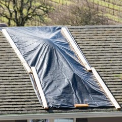 Heavy-Duty Black Plastic Sheeting 4 Mil – 3′ x 200′ Vapor Barrier Tarp