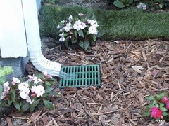 NDS Catch Basin Drainage Insert Grate Kit (12 x 12) 12×12, Green