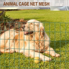 Tongmo 2 ft x 100 Green PVC Coated Welded Wire Fence, 2ft*100ft,