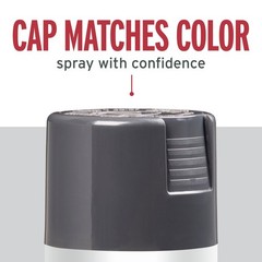 Rust-Oleum 7784830 Stops Rust Spray 12 Ounce (Pack of 1), Gloss Charcoal Gray