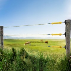 Electric Fence Rubber Gate 10 Pack – Spring Handles 10 pcs