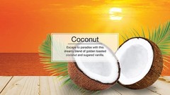 Little Trees 60317 Coconut Scent Hanging Air Freshener for Car & Home 24 Pack!