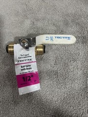 Tectite FSBBV12DE 1/2 in. Brass Push Ball Valve with Flange and Drain