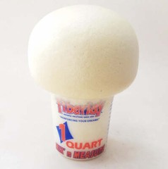 2 lb. Expanding Polyurethane Boat Pour Foam, 2-Part – Marine Grade -2 Gallon Kit