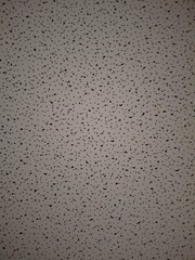 Ceramaguard Fine Fissured #607A