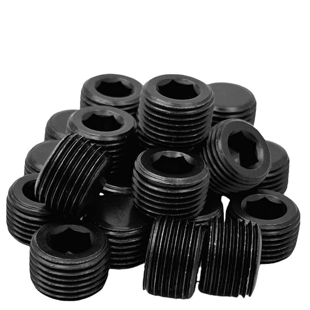 20 Pieces Socket Head Stainless Steel Pipe Plugs 3/8″ NPT USA FAST SHIPPING