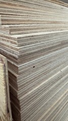 birch plywood