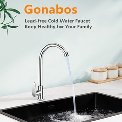 Brushed Nickel Cold Water Faucet Only,SUS304 Stainless Steel Single Handle