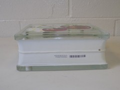 Hand Painted Glass Block 7.75” Decorative Wall Insert Backlit Ready Apple Design