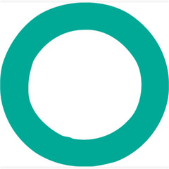 4238FJC O RING