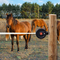 Electric Fence Gate Handle, Retractable Reusable Electric Fence Handle Built in,