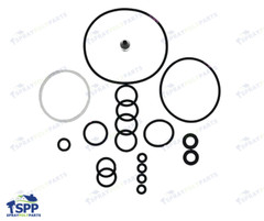 Graco Fusion AP Gun Complete O-Ring Rebuild Kit 246355