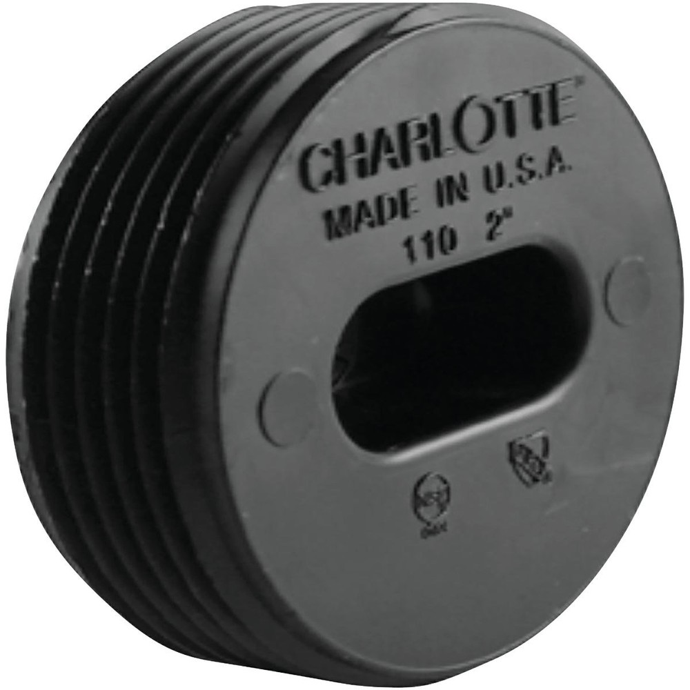Charlotte Pipe 2 In. MIP Countersunk ABS Plug ABS 00110 0600HA Charlotte Pipe