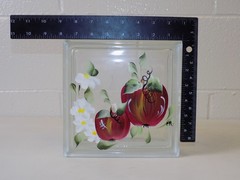 Hand Painted Glass Block 7.75” Decorative Wall Insert Backlit Ready Apple Design
