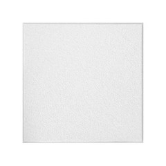 Armstrong 1352N Ceiling Tile, 24 In W X 24 In L, Beveled Tegular, 15/16 In Grid