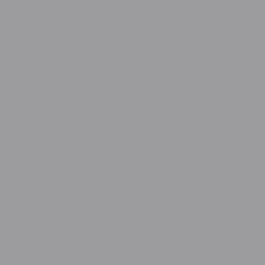 Dupli-Color Ebha09877 Perfect Match Automotive Spray Paint Honda Alabaster