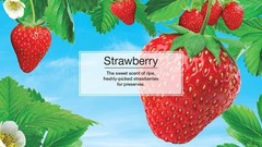 Little Trees Vent Wrap Strawberry Scent Air Freshener for Car & Home – 24 Pack!