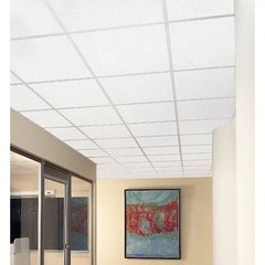 Fine Fissured Ceiling Tile, 24 in W x 24 in L, Angled Tegular, 15/16 in Grid