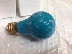 Green 100 Watt A19 LightBulb 100A19/CG Ceramic Green Guaranteed Brand USA 4-PCS