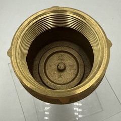 Homewerks Worldwide Spring Check Valve 241-2-2-2 2 in. Lead Free Brass FIP FIP