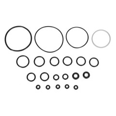 10 Set Complete O-Ring Rebuild Kit for Graco Fusion Air Purge AP Sprayer 246355