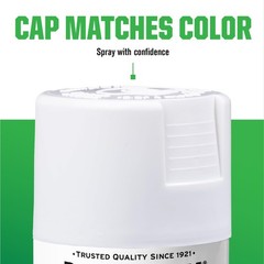 Rust-Oleum 7881830 Specialty Appliance Epoxy Spray Paint, 12 oz, 12 White