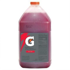 GATORADE- FRUIT PUNCH-Thirst Quencher Instant Concentrate 4 PACK