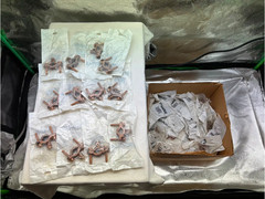 Bundled Iberville 1/2″ – 1″ Ground Clamps 10 unit budles bulk discount possible