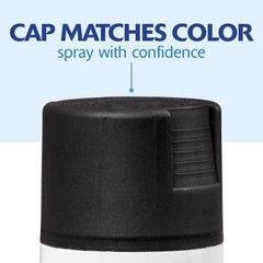 Rust-Oleum 249844 Satin Canyon Black Oil-Based Spray Paint 12 oz. (Pack of 6)