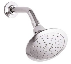 Forte 1-Spray 5.5 in Single Wall Mount Fixed Shower Head in Chrome