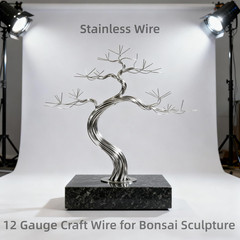 12 Gauge 304 Stainless Steel Wire Annealed Bendable 2Mm Thick Wire Crafts Garden