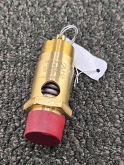Kingston KSV40 1-inch Soft-Seal Safety Valve 200 psi, 1659 SCFM Flow Capacity