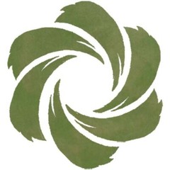 Acid stain for interior concrete projects light green 1 gallon Pacific Dogwood