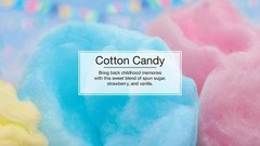 Little Trees 60282 Cotton Candy Hanging Air Freshener for Car & Home 12 Pack!