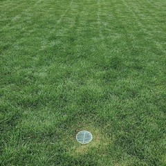 Rocky Mountain Goods 4” Plastic Round Drainage Grate Cover 4 inches, Green