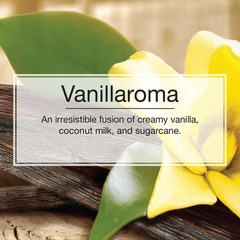 Little Trees Vanillaroma Spray Car Air Fresheners Non-Aerosol 3.5oz – 12 Pack