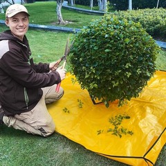 10x10ft Landscape Trimming Tarp with 15in Center Hole | Heavy-Duty Garden Tre…