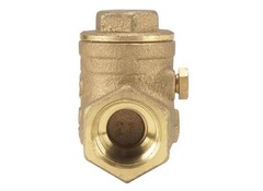 ProLine Series Check Valve, 3/4 in, IPS, 200 psi Pressure, Brass Body