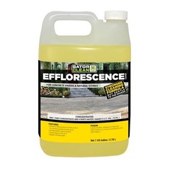 Alliance Designs GATORCLEAN03 1 gal Gator Efflorescence Cleaner