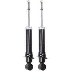 Rear Shocks Struts Set of 2 for Toyota Matrix Pontiac Vibe 2003-2008 344613