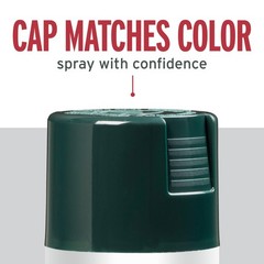 Rust-Oleum 7733830 Stops Rust 12 Ounce (Pack of 1), Gloss Dark Hunter Green