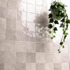 Renzo Sterling 5X5 Glossy Ceramic Square Wall Tiles for Bathroom, Kitchen Backsp