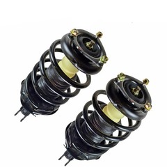 1 Pair Front Left Right Shock Strut & Springs Assembly Set 3796702269