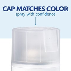 Rust-Oleum 249087 Painter’s Touch 2X Ultra 12 Ounce (Pack of 1), Matte Clear