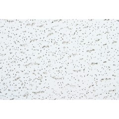 2 X 4′ CEILING PANEL TILES “CARTON OF 12” Textured – Directional – Acoustical