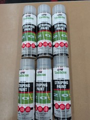 WHITE STRIPING PAINT – T TIP INVERTED NOZZLE – 17 OZ CAN – 6 PACK GPM TRUSTRIPE