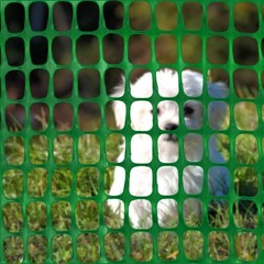 Ashman Plastic Mesh Fence, Construction Barrier Netting, Green, 100 FT, Green